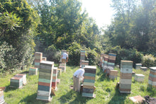 Load image into Gallery viewer, Vermont Raw Honey - 2lb